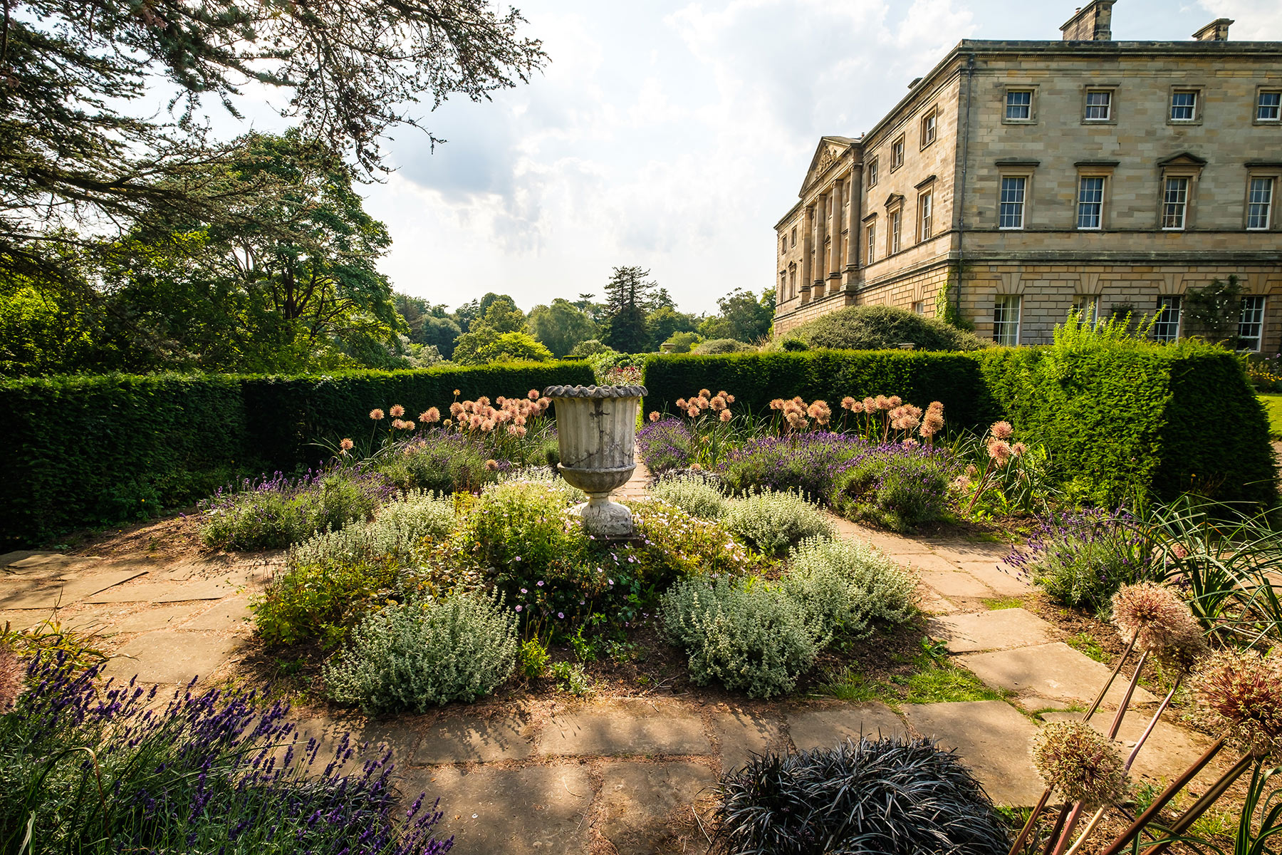 Howick Hall Gardens & Arboretum